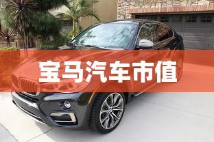 宝马汽车市值  第1张