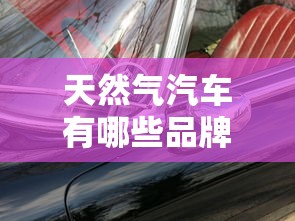 天然气汽车有哪些品牌  第1张