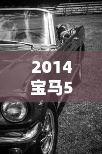 2014宝马5系油箱多少升  第1张