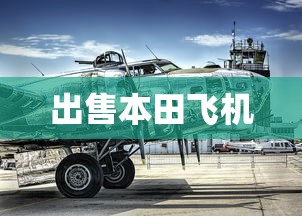 出售本田飞机  第1张