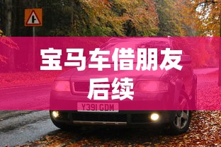 宝马车借朋友后续  第1张