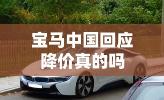 我是特种兵之火凤凰免费观看全集完整版  第1张