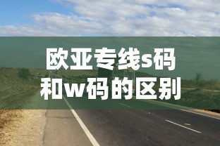 欧亚专线s码和w码的区别 物流速度实测-世游圈资讯站  第1张