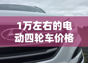 1万左右的电动四轮车价格  第1张