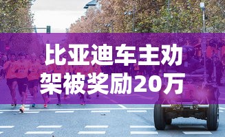 比亚迪车主劝架被奖励20万是真的吗  第1张