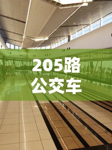 205路公交车路线  第1张
