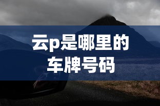 云p是哪里的车牌号码  第1张