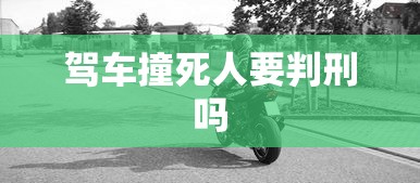 驾车撞死人要判刑吗  第1张