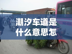 比亚迪宋l在成都车展正式亮相时间  第1张