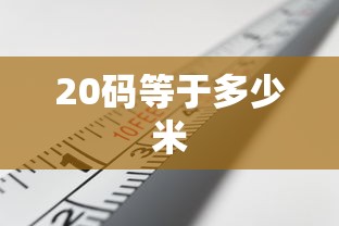 20码等于多少米  第1张