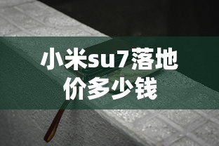 小米su7落地价多少钱  第1张