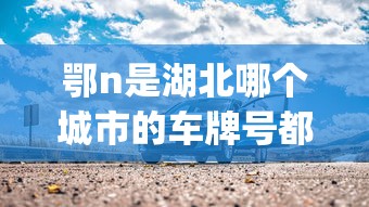 鄂n是湖北哪个城市的车牌号都p  第1张