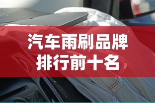 汽车雨刷品牌排行前十名  第1张