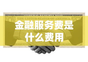 金融服务费是什么费用  第1张