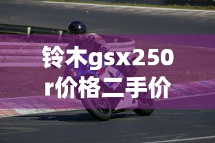 铃木gsx250r价格二手价格  第1张