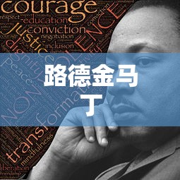 路德金马丁  第1张