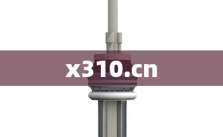 x310.cn  第1张
