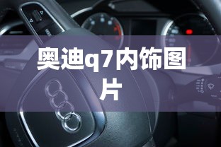 奥迪q7内饰图片  第1张