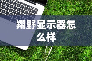 翔野显示器怎么样  第1张