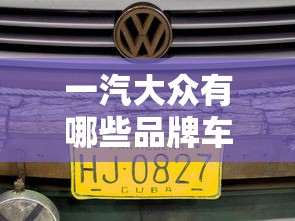 一汽大众有哪些品牌车  第1张
