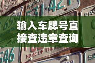 输入车牌号直接查违章查询  第1张