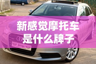 新感觉摩托车是什么牌子  第1张
