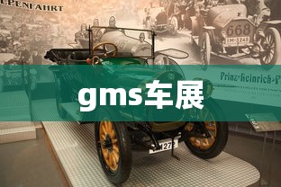 gms车展  第1张