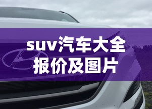 suv汽车大全报价及图片  第1张