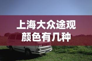 蓝瑟evolution  第1张