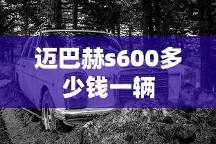 迈巴赫s600多少钱一辆  第1张