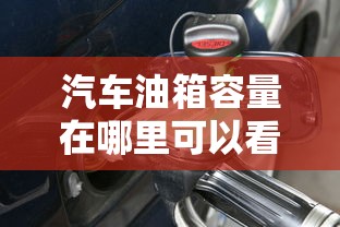 汽车油箱容量在哪里可以看到  第1张