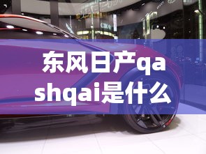 东风日产qashqai是什么车  第1张