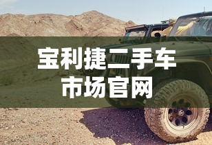 宝利捷二手车市场官网  第1张