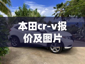 本田cr-v报价及图片  第1张