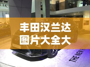 丰田汉兰达图片大全大图  第1张