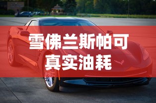 雪佛兰斯帕可真实油耗  第1张