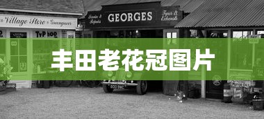 丰田老花冠图片  第1张