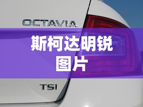斯柯达明锐图片  第1张