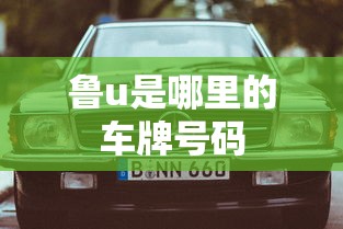 鲁u是哪里的车牌号码  第1张