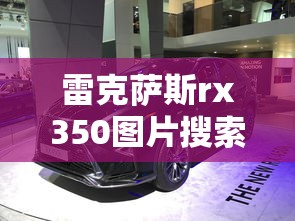 雷克萨斯rx350图片搜索  第1张