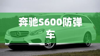 奔驰S600防弹车  第1张