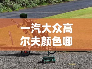 一汽大众高尔夫颜色哪个好  第1张