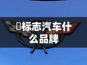 仌标志汽车什么品牌  第1张