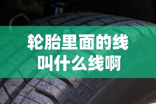 轮胎里面的线叫什么线啊  第1张