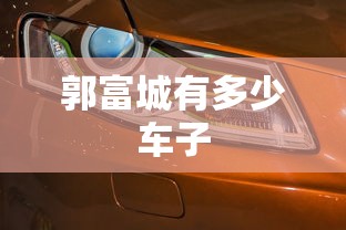 郭富城有多少车子  第1张