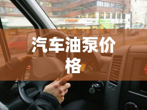 汽车油泵价格  第1张