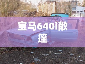 宝马640i敞篷  第1张