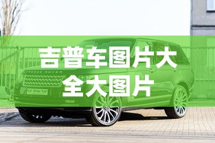 吉普车图片大全大图片  第1张