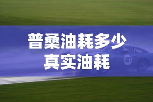 普桑油耗多少真实油耗  第1张