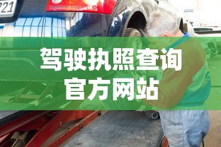 驾驶执照查询官方网站  第1张